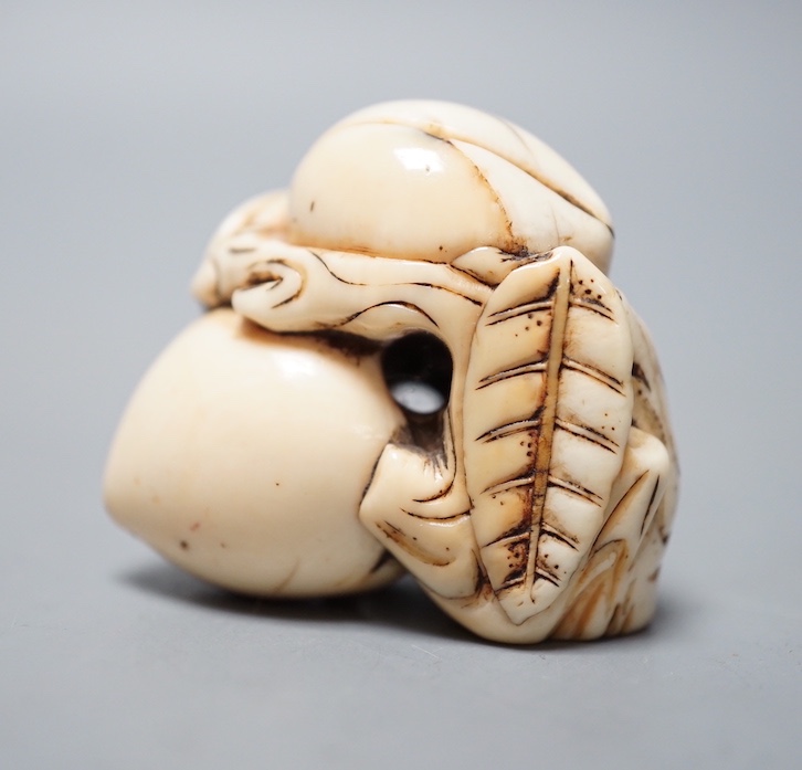 An 18th / 19th Chinese ivory 'monkey and peach' toggle. 4cm